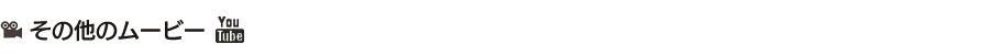 その他の動画